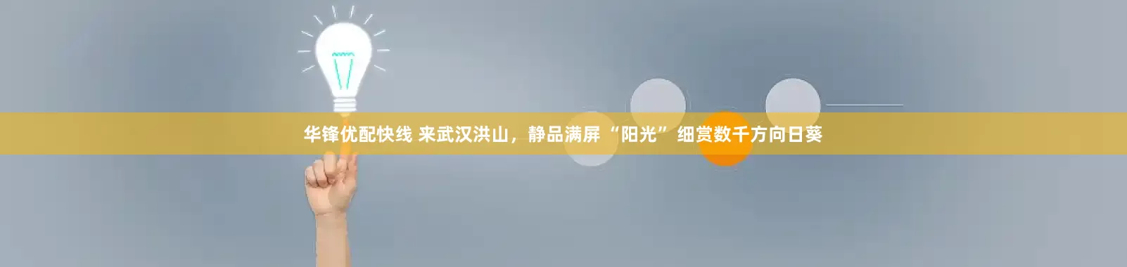 华锋优配快线 来武汉洪山，静品满屏 “阳光” 细赏数千方向日葵